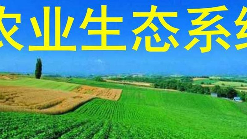 食堂食材配送加盟，先看清这五个硬门槛