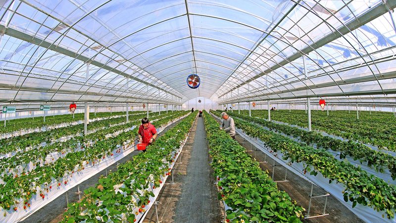 以下为不同类型合作社代理记账的大致价格范围，供参考：
