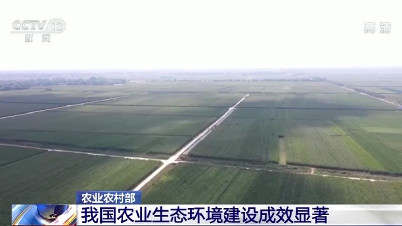 社区生鲜配送：便捷背后的考量