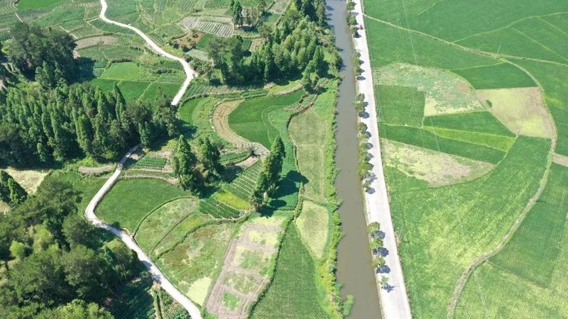 短视频获客的关键在于与客户建立良好的互动关系。以下是一些互动策略：