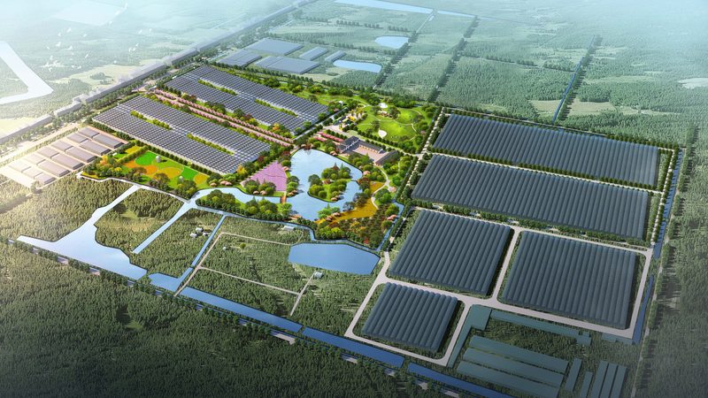 粮食种植用什么肥料好