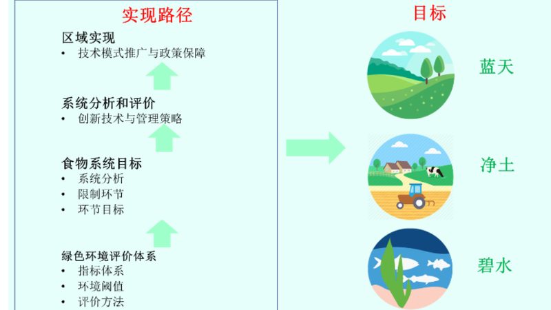 小型农业项目风险评估，如何规避潜在风险？**