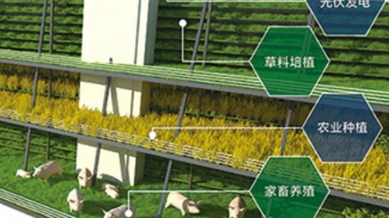 农产品供应链金融模式解析：构建高效流通桥梁