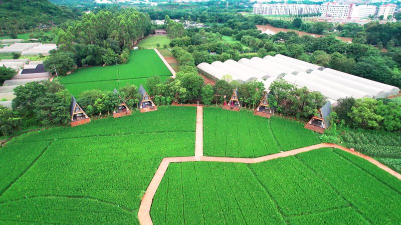 合作社补贴申请时间：关键节点与注意事项