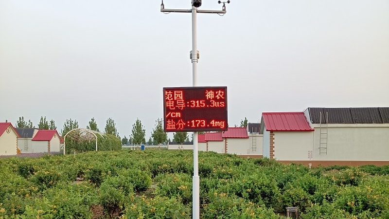 农业项目风险评估：如何规避潜在风险，保障投资安全**
