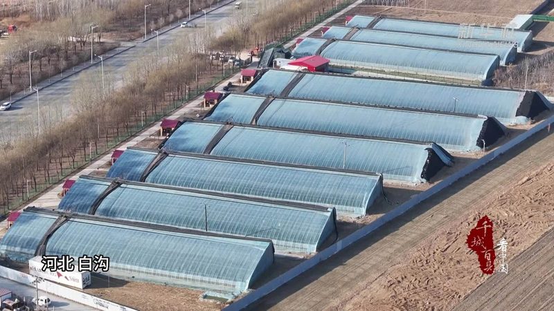 为了避免加盟合同中的陷阱，加盟者在签订合同时应采取以下措施：