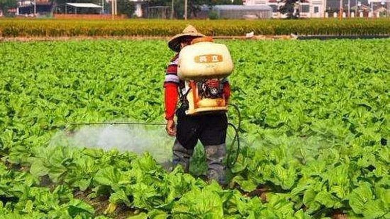生鲜配送供应链管理：揭秘厂家直销的奥秘
