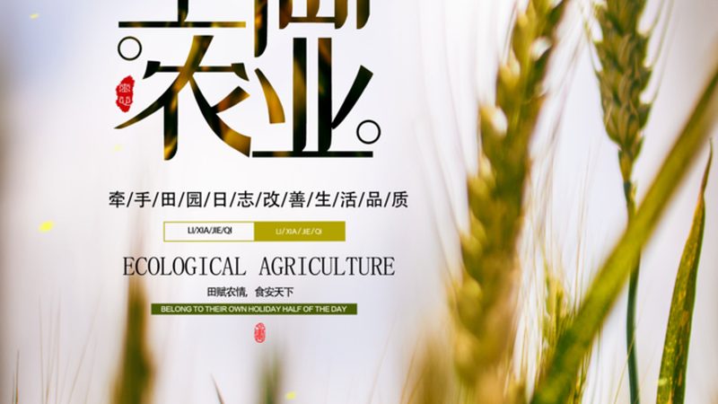绿色食品认证：守护舌尖上的安全，如何选择可靠认证公司